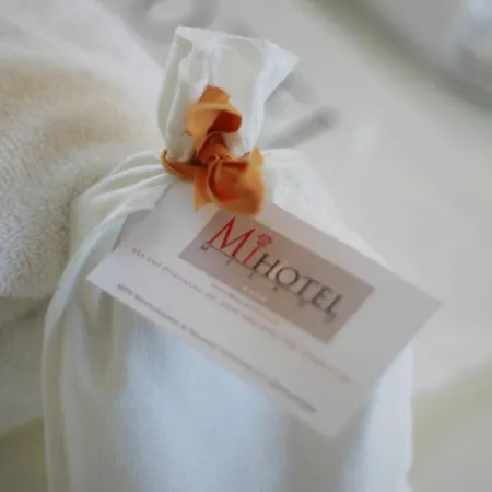 Mihotel Hotel Mediolan