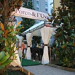 Hotel Mihotel 4*