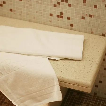 מלון Mihotel 4*